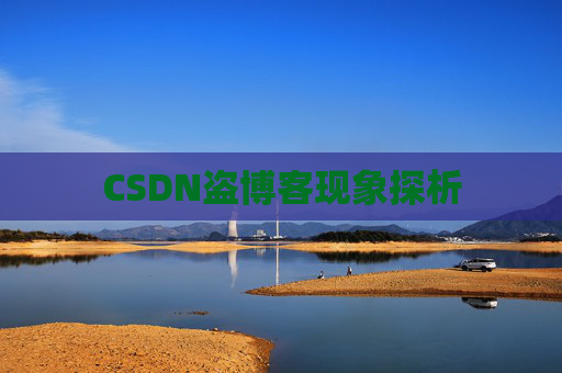 CSDN盗博客现象探析 CSDN盗博客现象探析